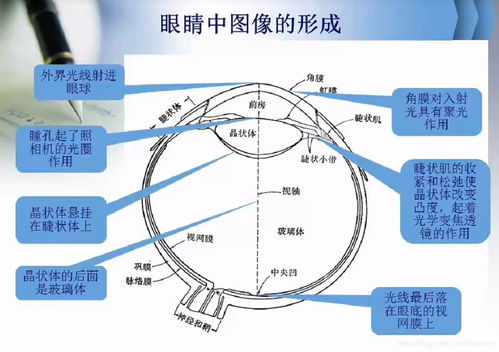 人工智能基礎(chǔ) 計(jì)算機(jī)視覺(jué)與圖像處理的核心課程